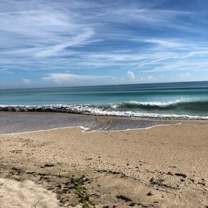 Meet your Posher, Rita